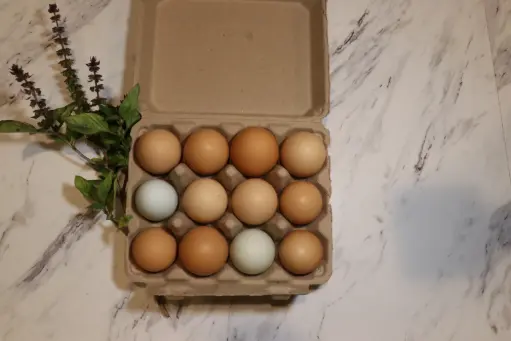 1 Dozen Chicken Eggs